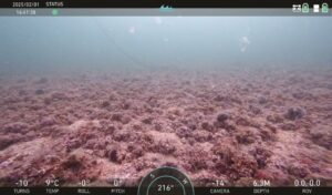 The Sunken Island of the Great Istanbul Earthquake: A Journey into Underwater History