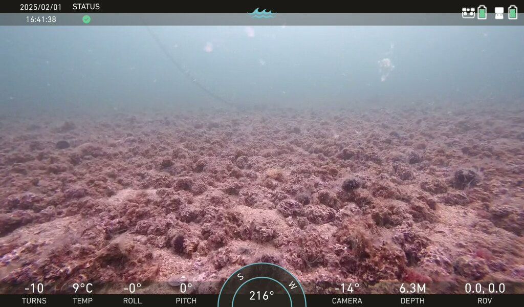 The Sunken Island of the Great Istanbul Earthquake: A Journey into Underwater History